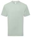 SS640 61362 SS035 Pure Cotton T shirt Sage Green colour image